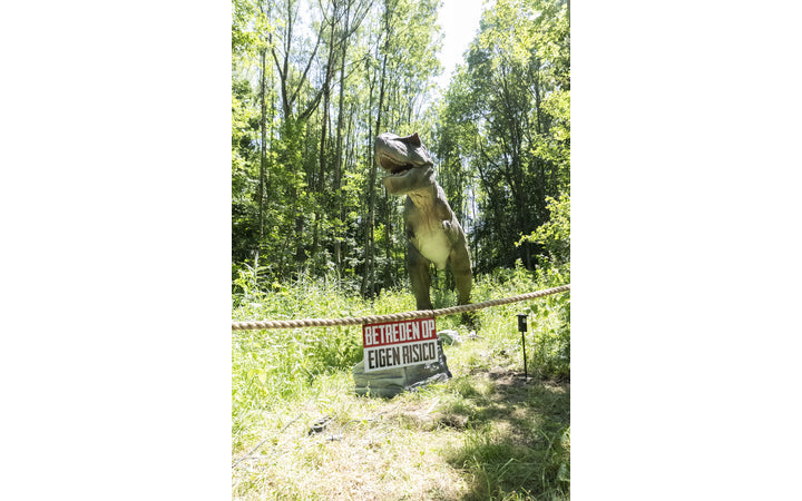 dino-fabriek - afbeelding 4