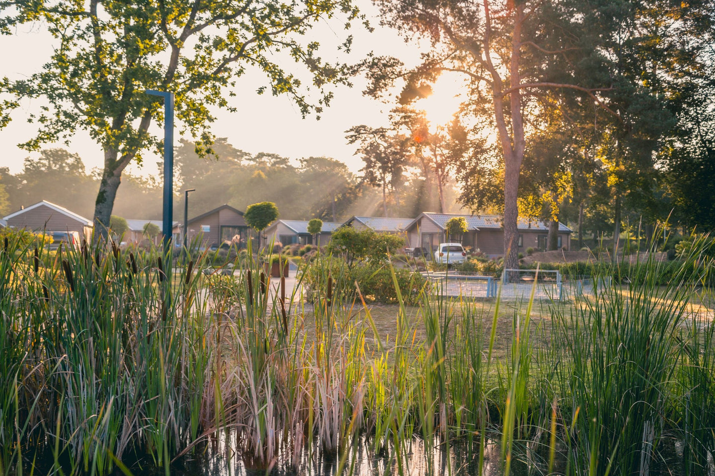 EuroParcs Zilverstrand - afbeelding 11