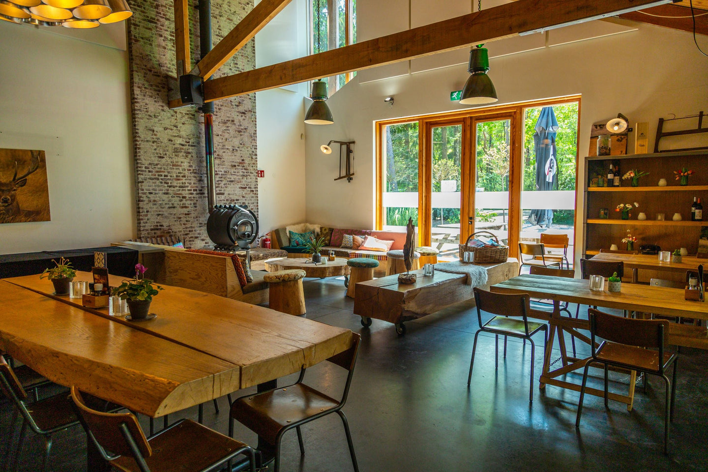 EuroParcs De Wije Werelt (Veluwe) - afbeelding 5