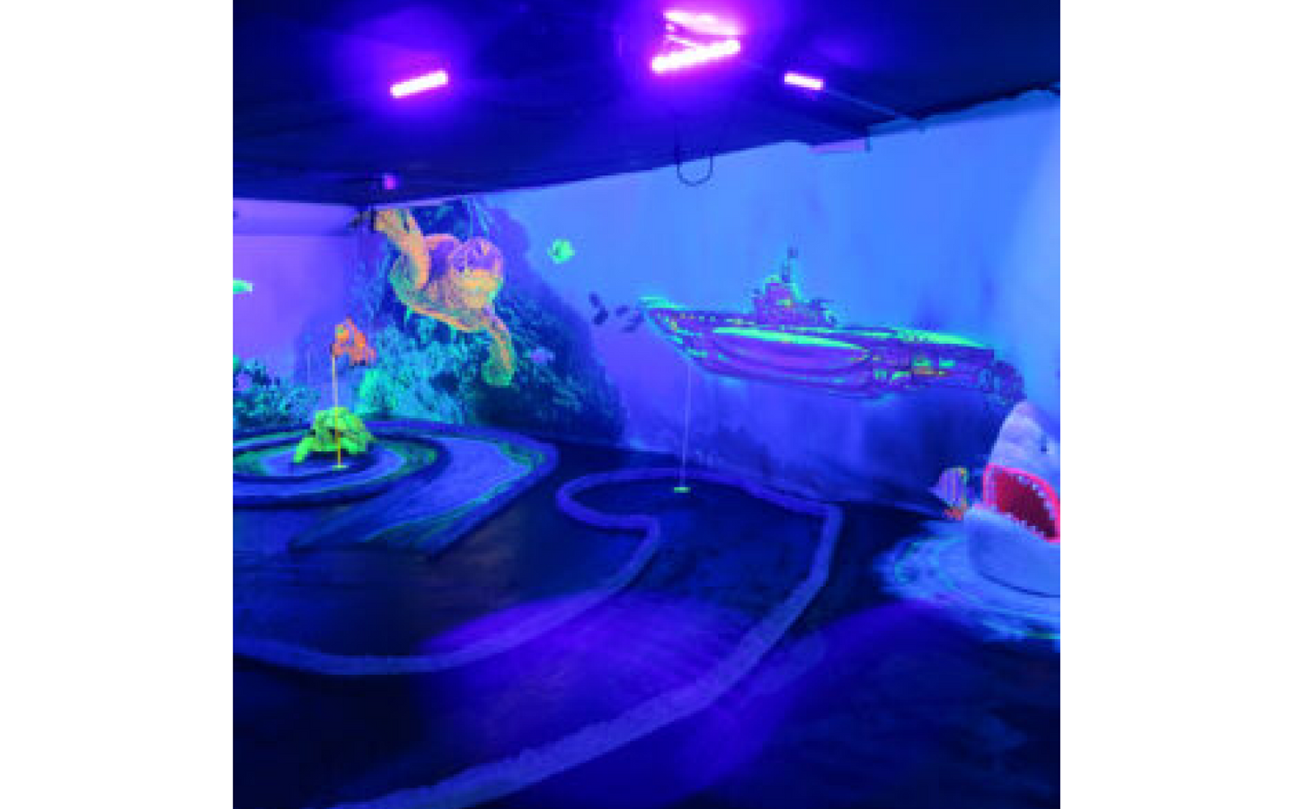 coronel-events-glowgolf - afbeelding 4