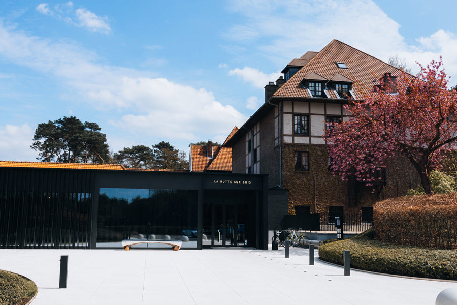 Overnachting in Hotel La Butte aux Bois ***** - afbeelding 1
