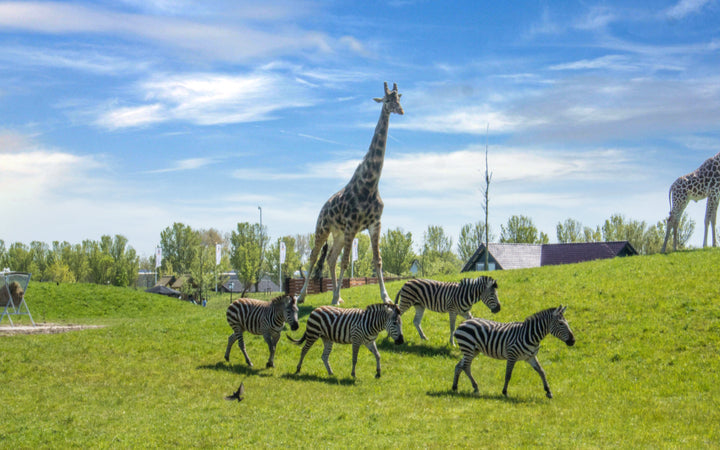 Dierenpark Van Blanckendaell - afbeelding 2