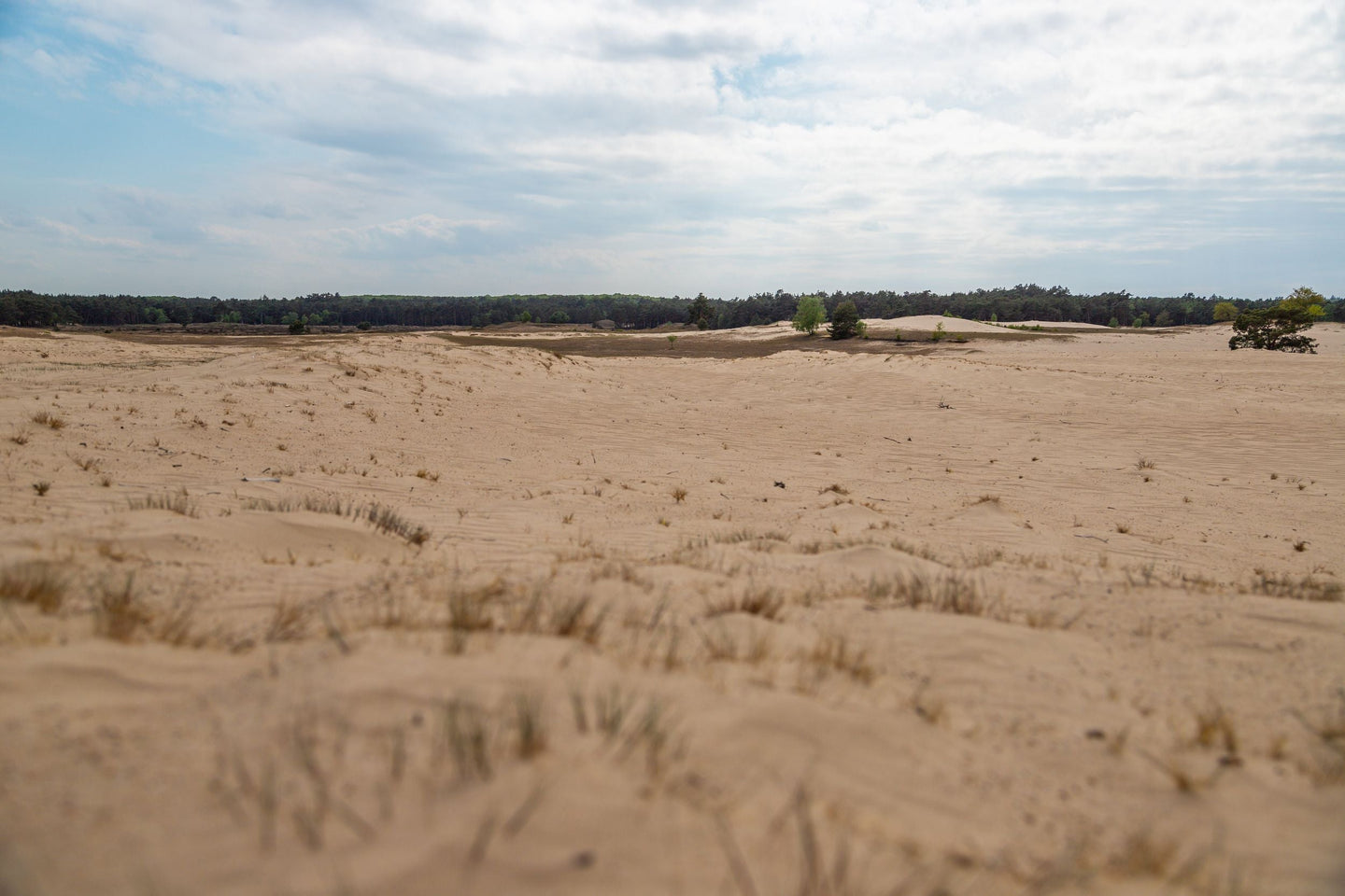 EuroParcs De Wije Werelt (Veluwe) - afbeelding 10