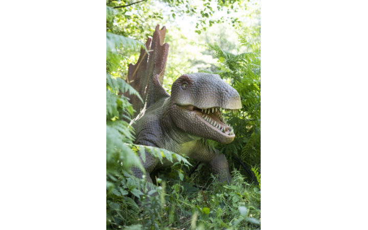dino-fabriek - afbeelding 7