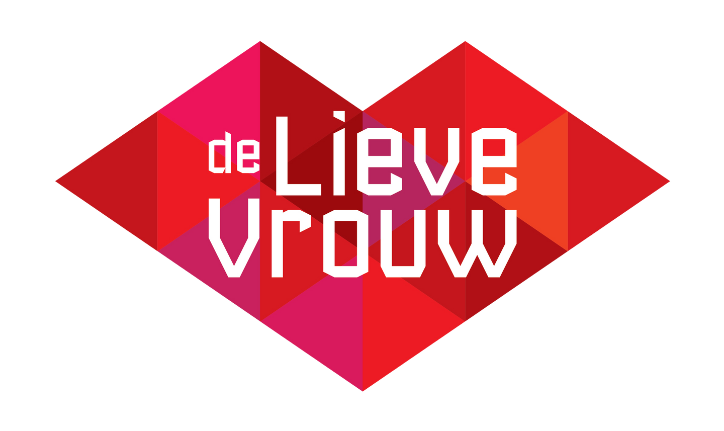 UITVERKOCHT! De Lieve Vrouw Amersfoort - Beyond van André Kuipers - afbeelding 3