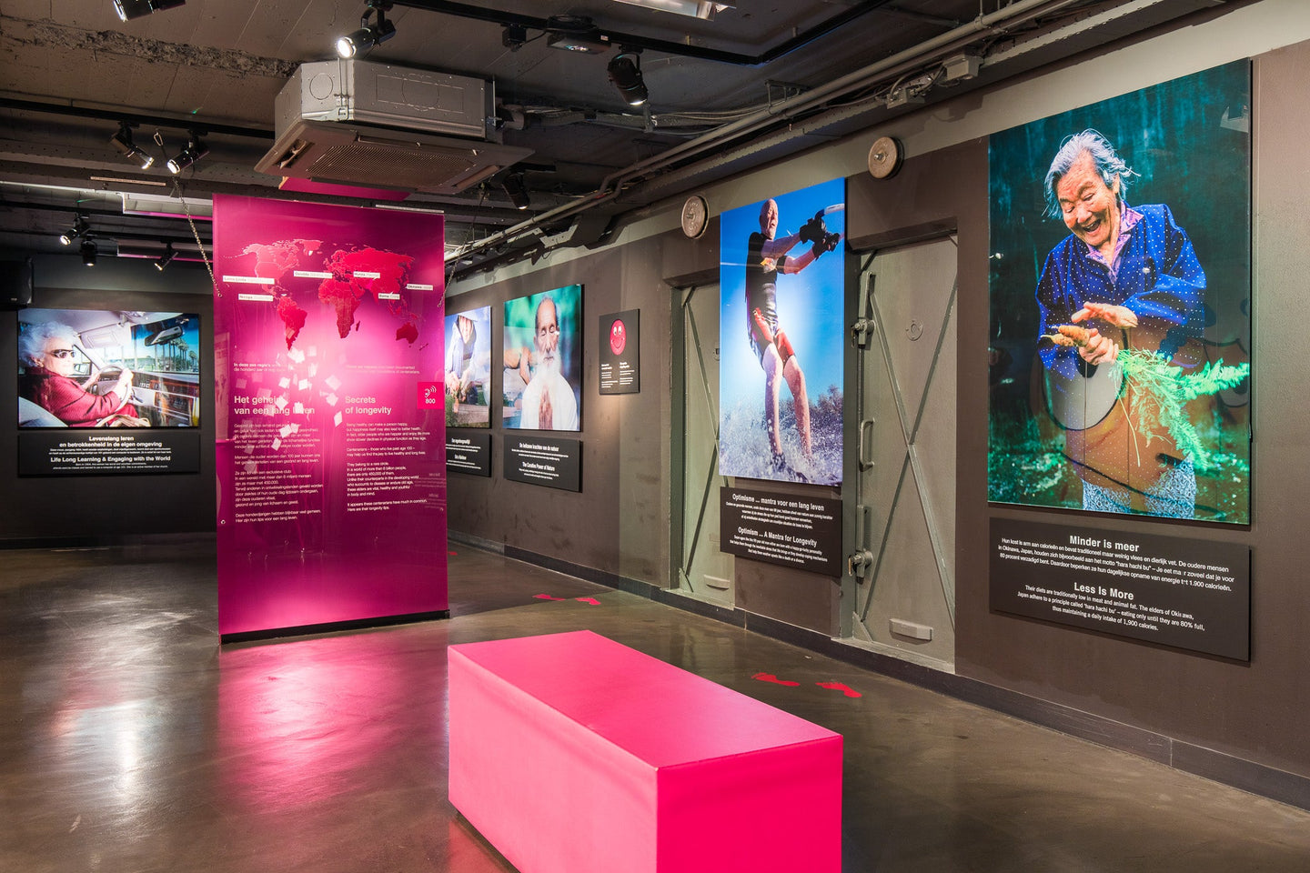 body-worlds - afbeelding 7