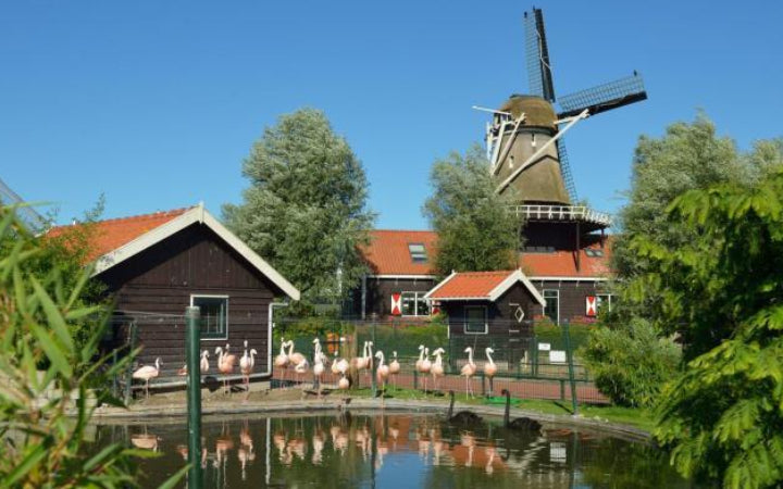 Dierenpark Van Blanckendaell - afbeelding 3
