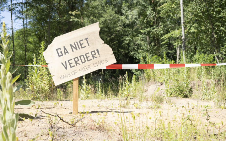 dino-fabriek - afbeelding 3