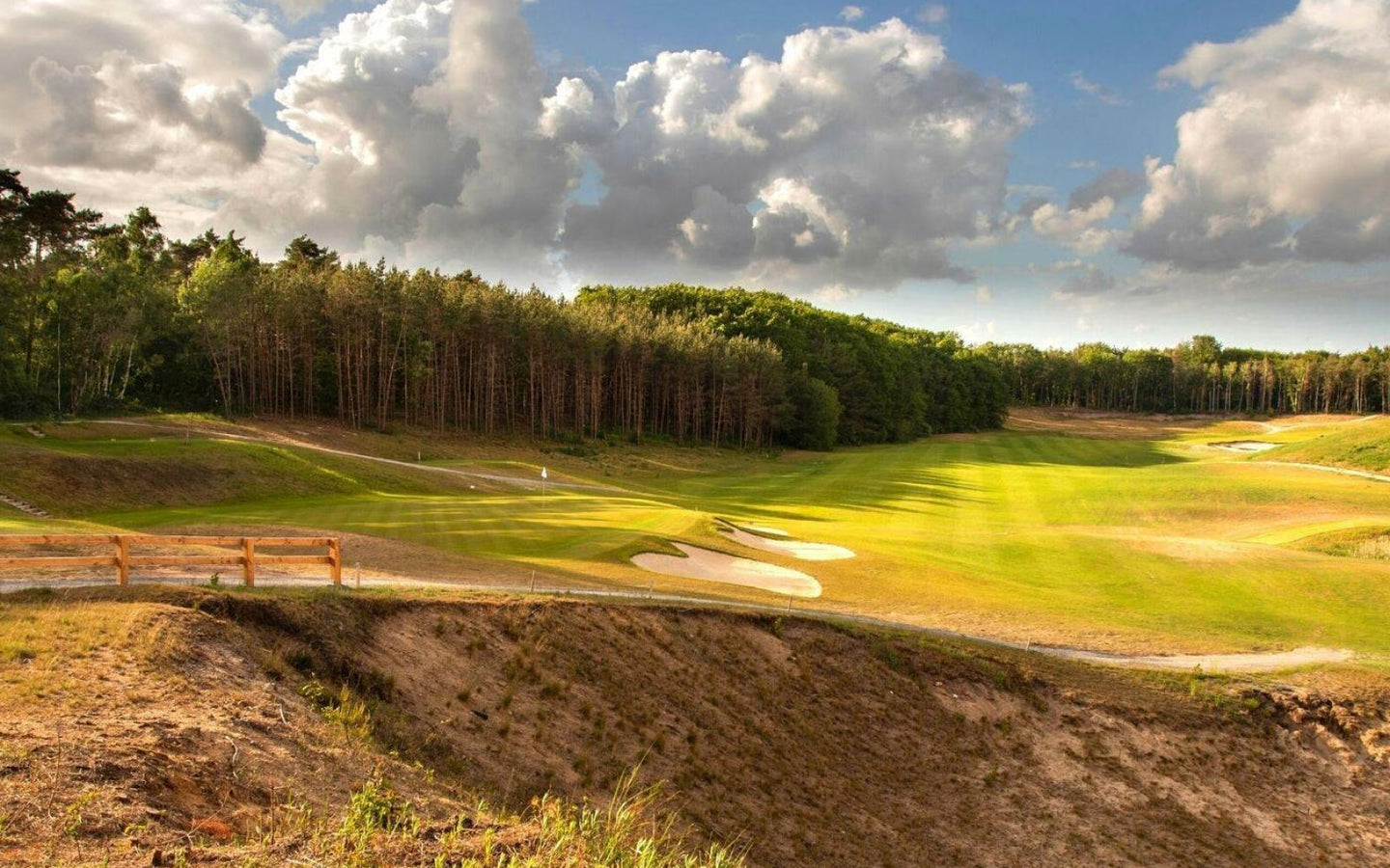 Tweedaagse golfcursus - afbeelding 3