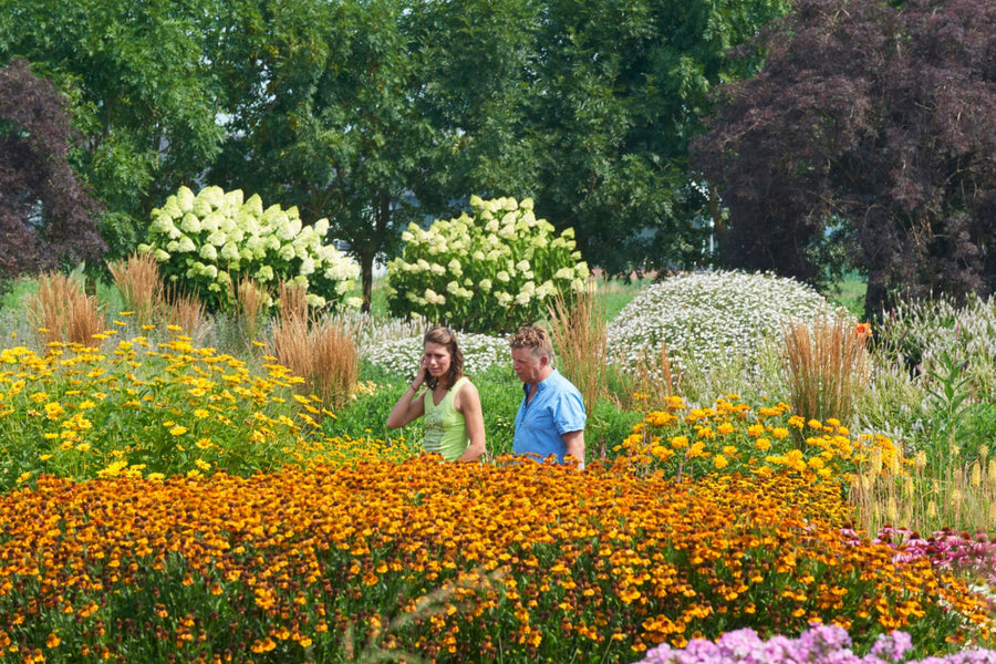 Bloemenpark Appeltern - afbeelding 1