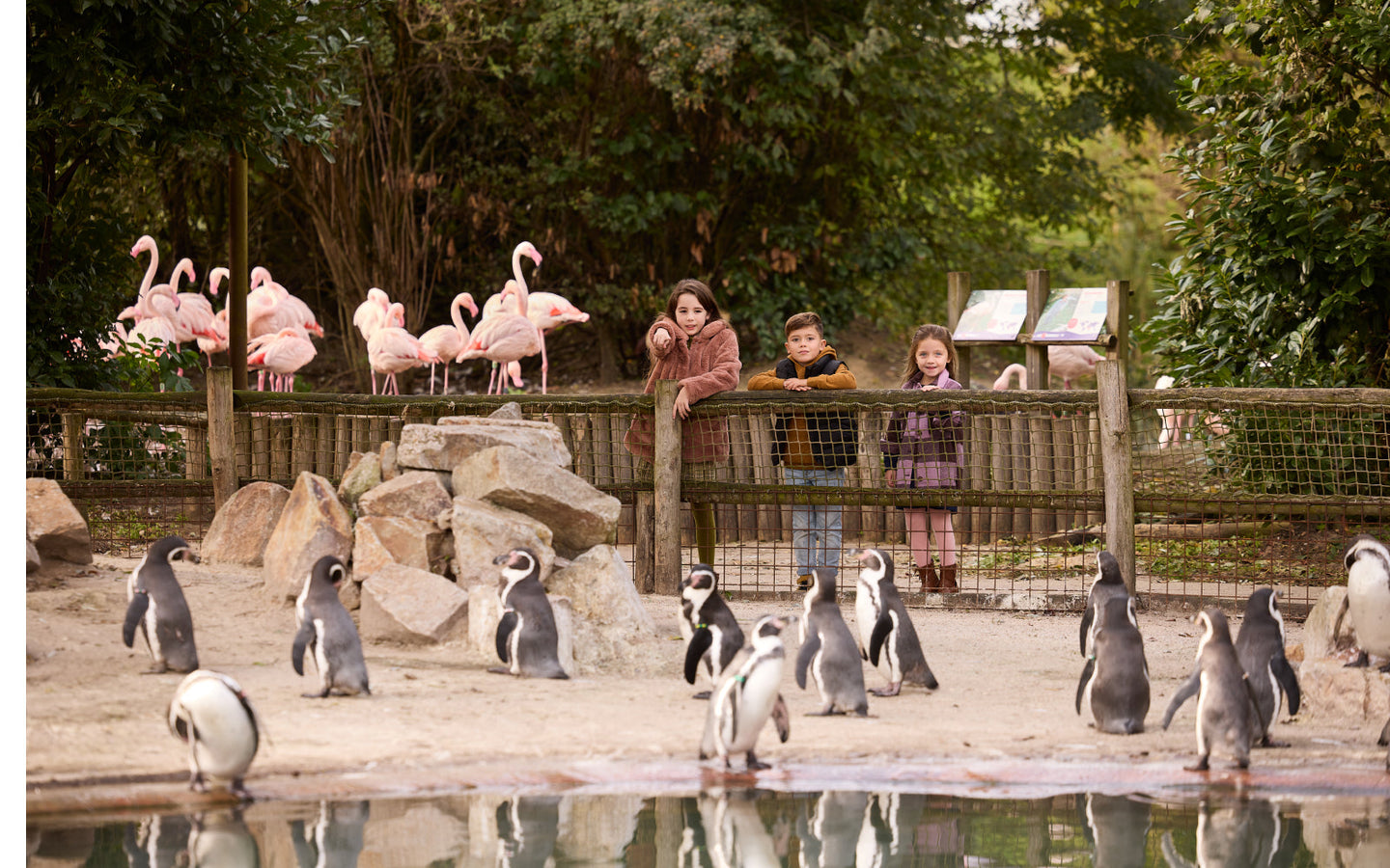 Eindhoven ZOO - afbeelding 10