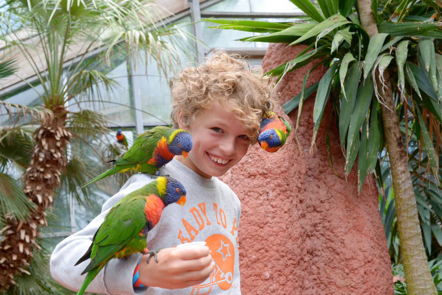Vogelpark Avifauna - afbeelding 4