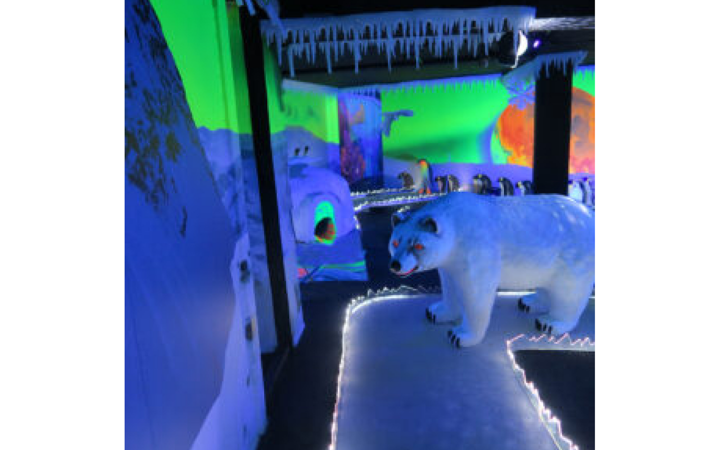 coronel-events-glowgolf - afbeelding 6
