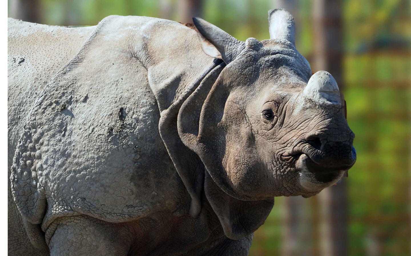 Eindhoven ZOO - afbeelding 9