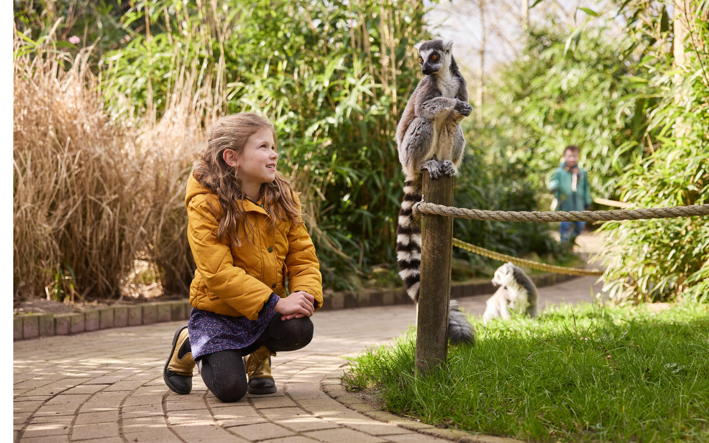 Eindhoven ZOO - afbeelding 3