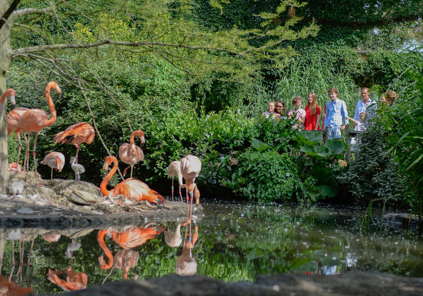 Vogelpark Avifauna - afbeelding 2