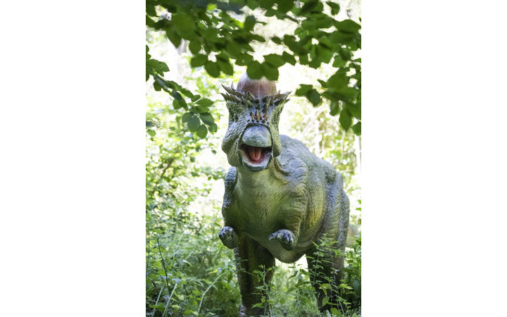dino-fabriek - afbeelding 9