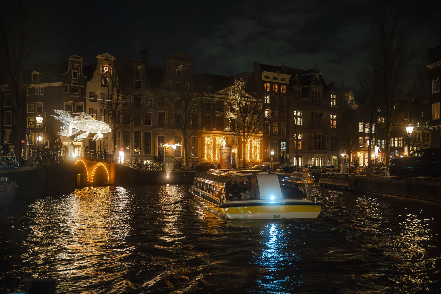 Rondvaart Amsterdam Light Festival - afbeelding 5