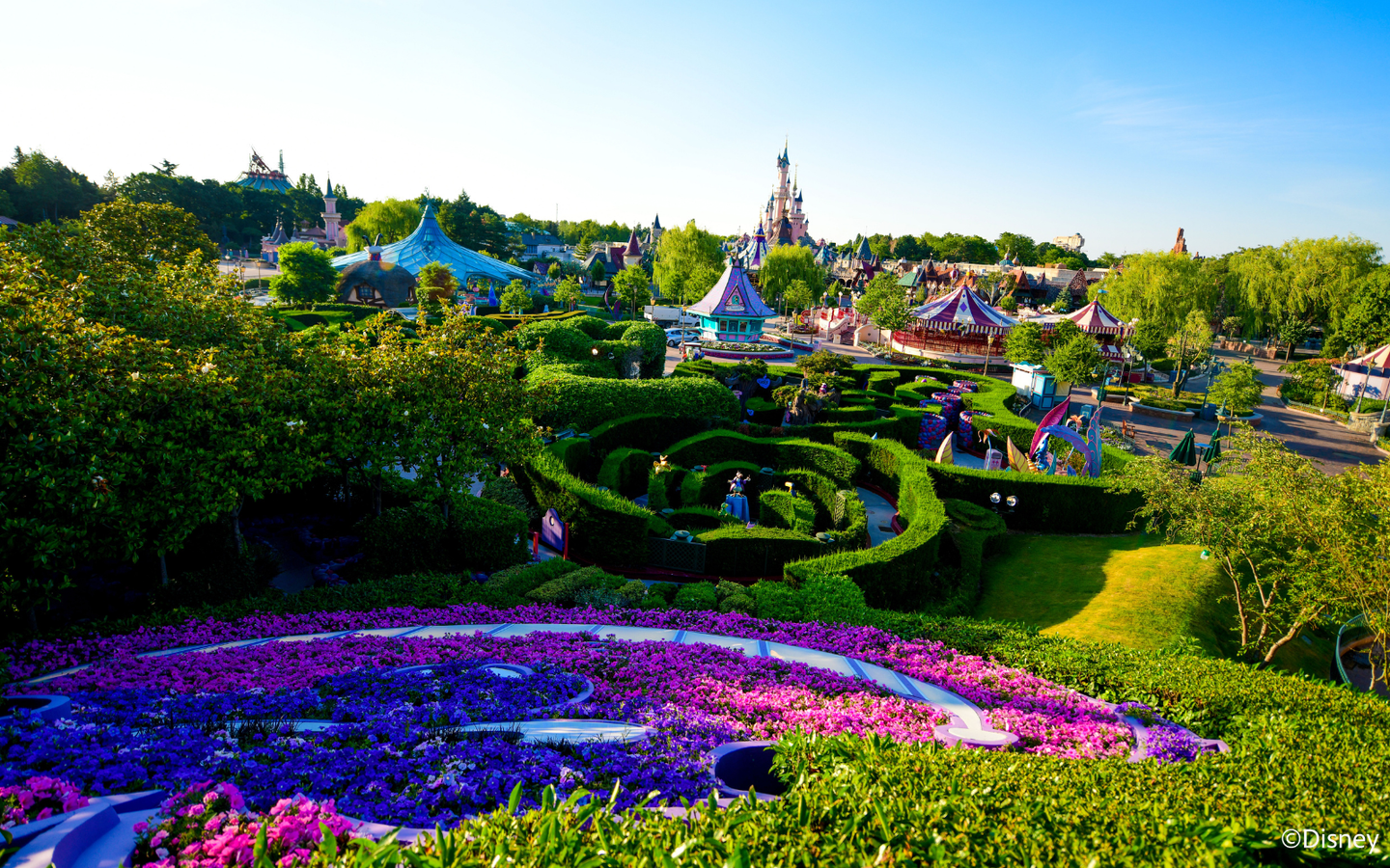 Dagtickets Disneyland® Paris incl. Donald Duck kleurplaten - afbeelding 11