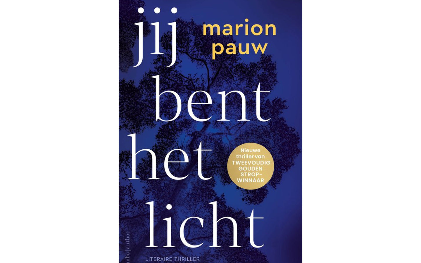 Jij bent het licht - afbeelding 1