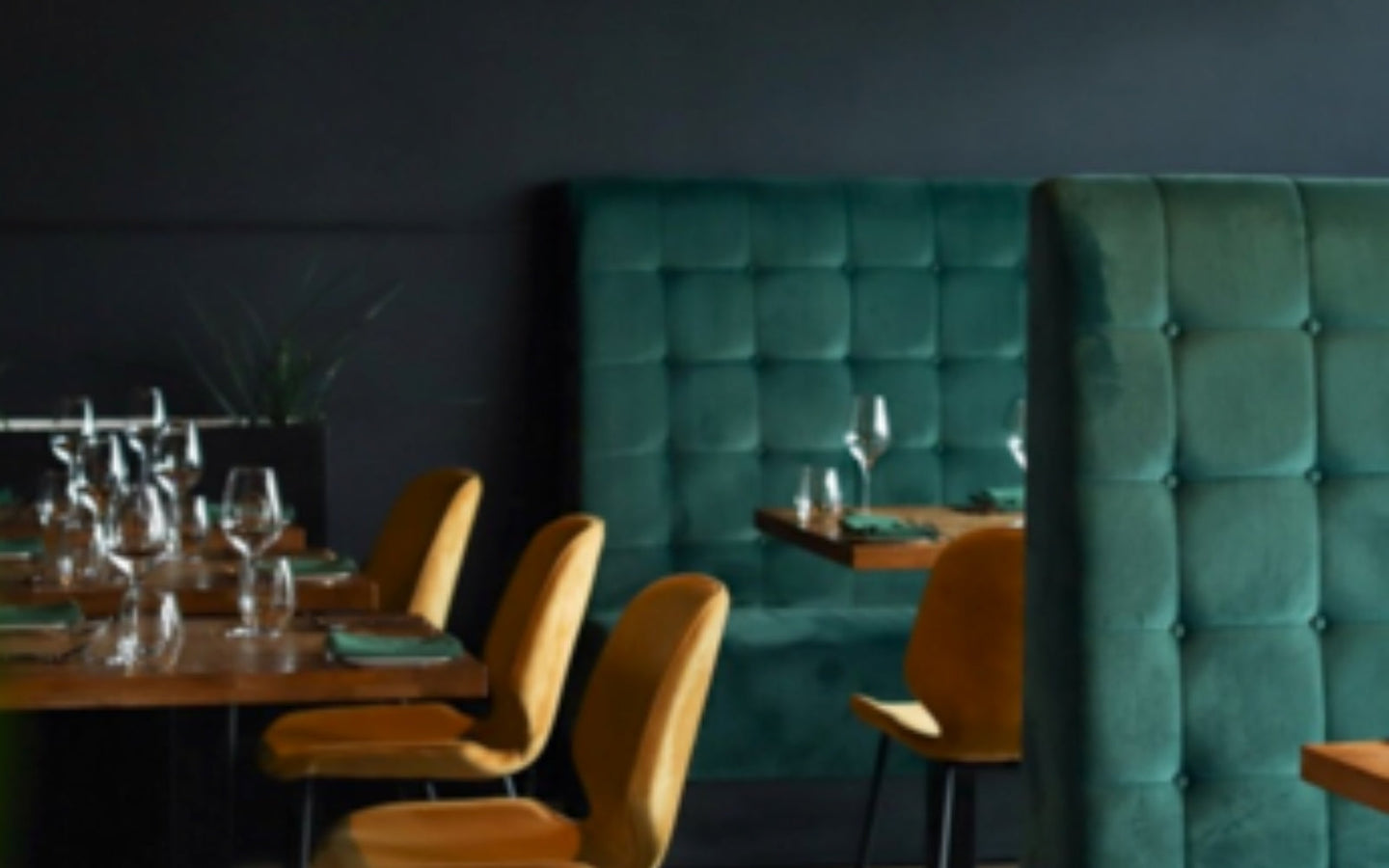 6-Gangen Rising Star menu bij Nomad aan het IJ in Amsterdam - afbeelding 6