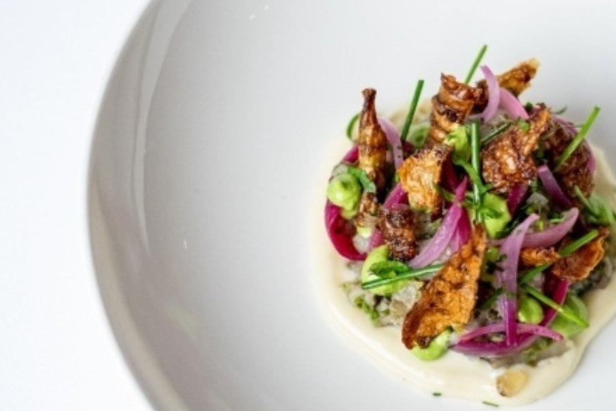 6-Gangen rising star diner bij De Compagnon in Amsterdam - afbeelding 1