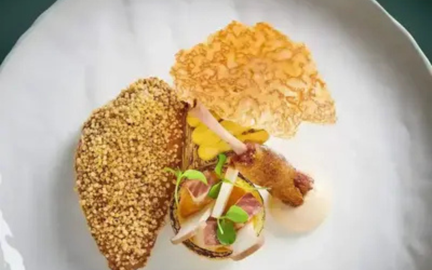 5-Gangen Michelin diner bij restaurant Calva in Nootdorp - afbeelding 2