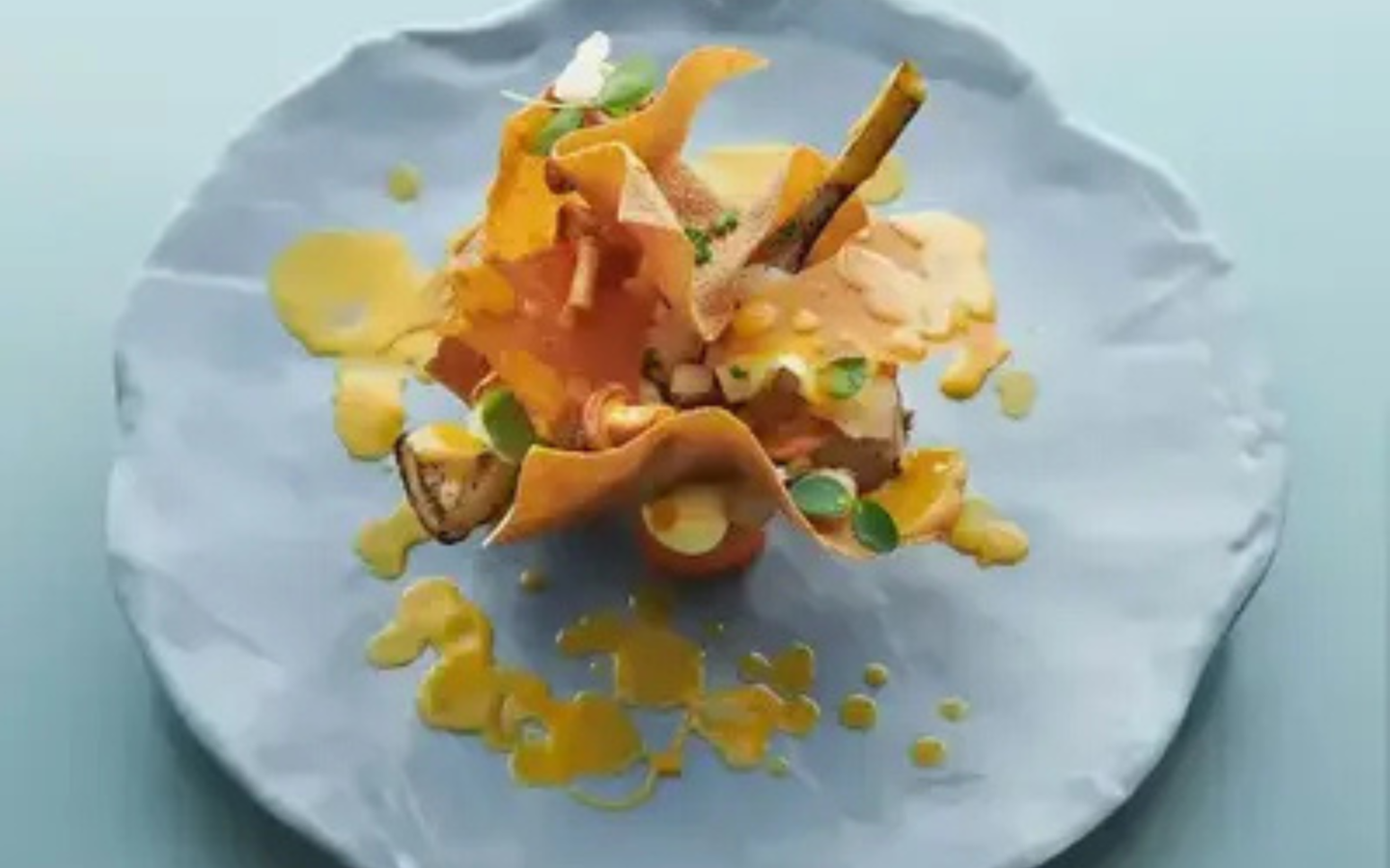 5-Gangen Michelin diner bij restaurant Calva in Nootdorp - afbeelding 3