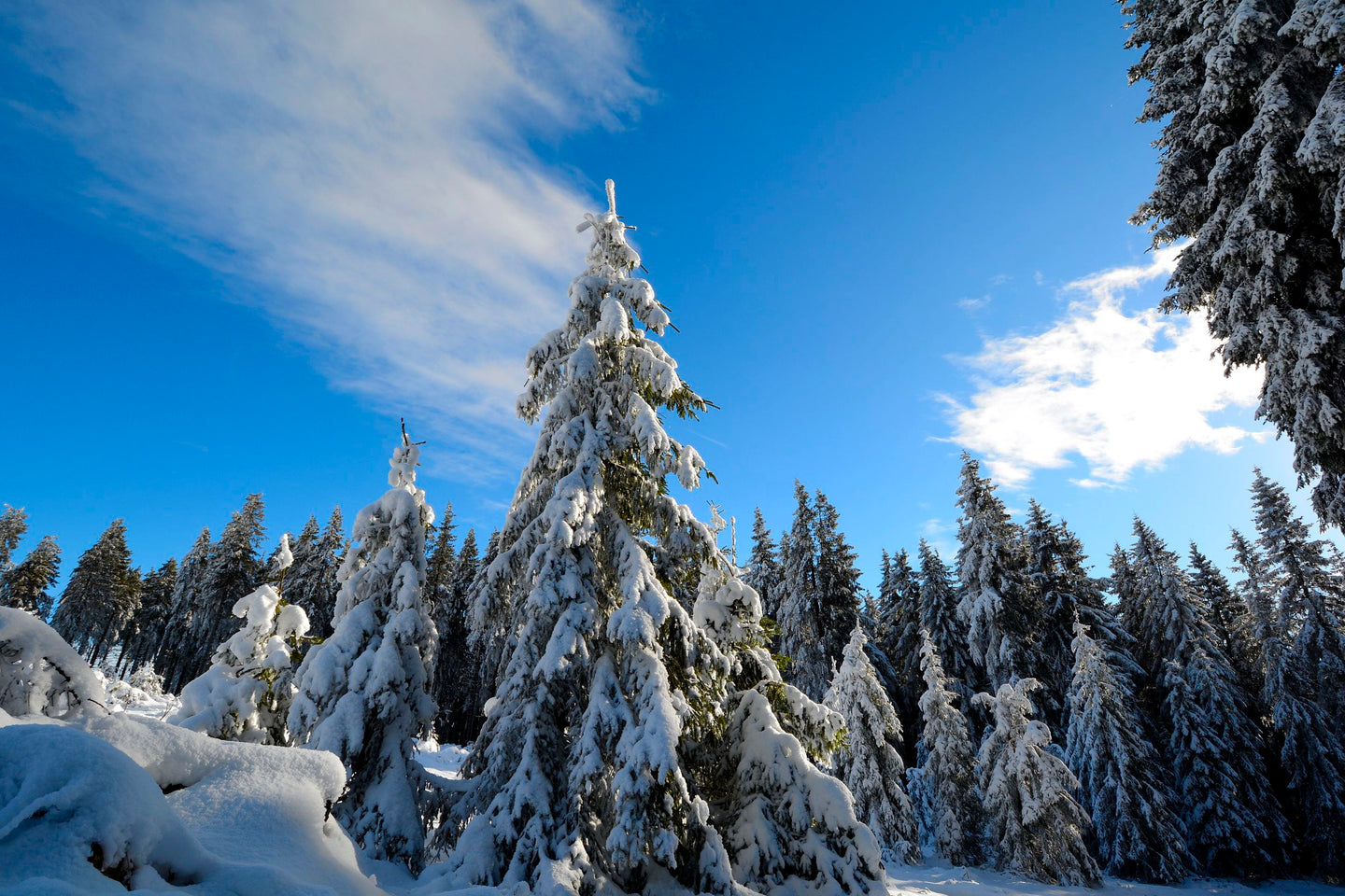 4 Dagen heerlijk ontspannen in het Sauerland bij Hotel Winterberg Resort - afbeelding 7