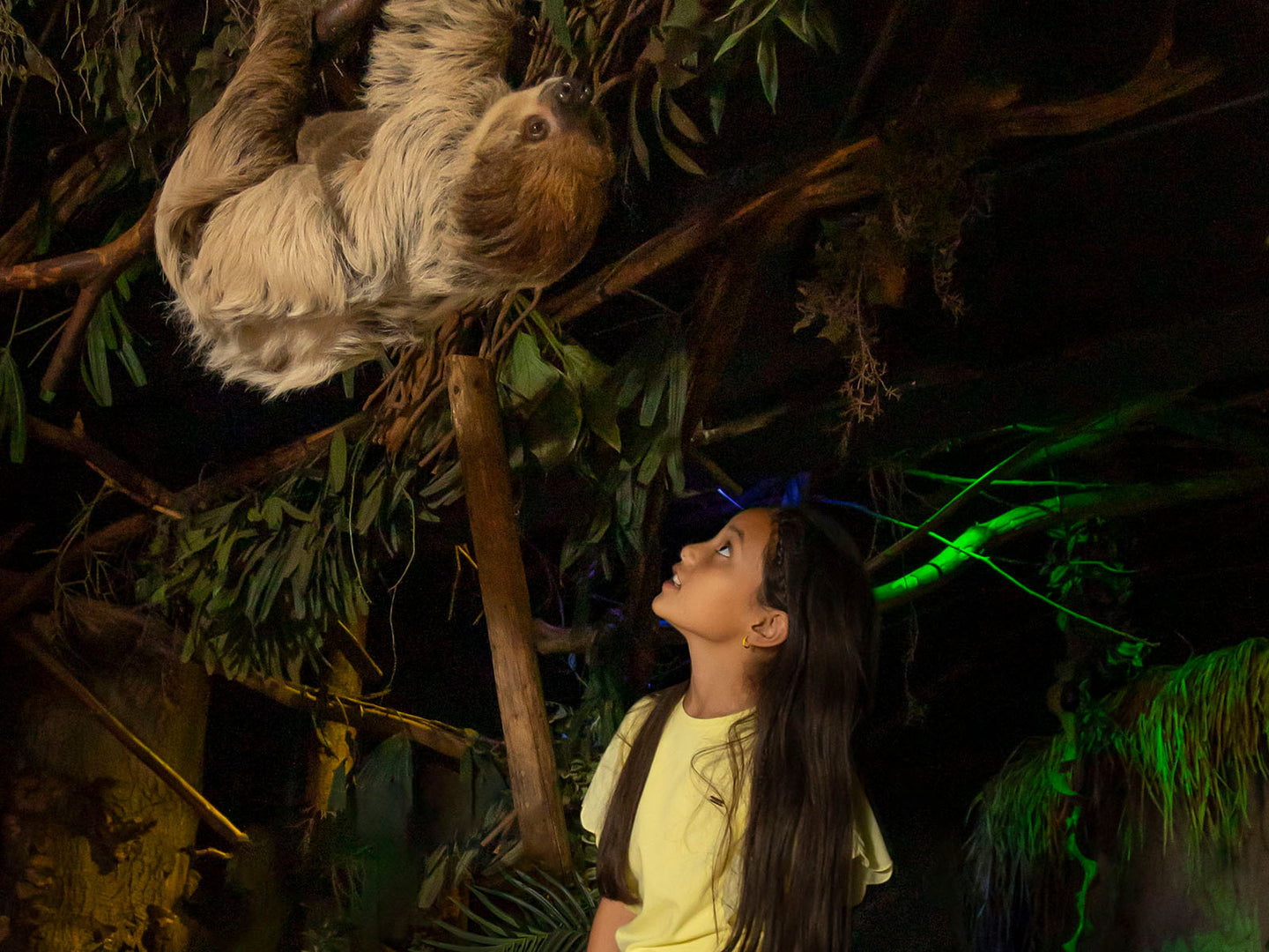 DierenPark Amersfoort - afbeelding 4