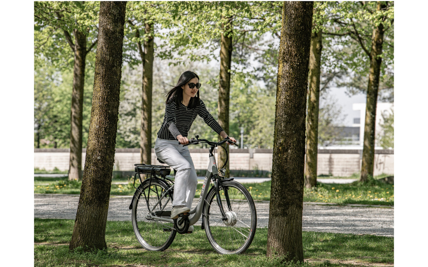 E-bike - Saxonette DeGreaser - afbeelding 6