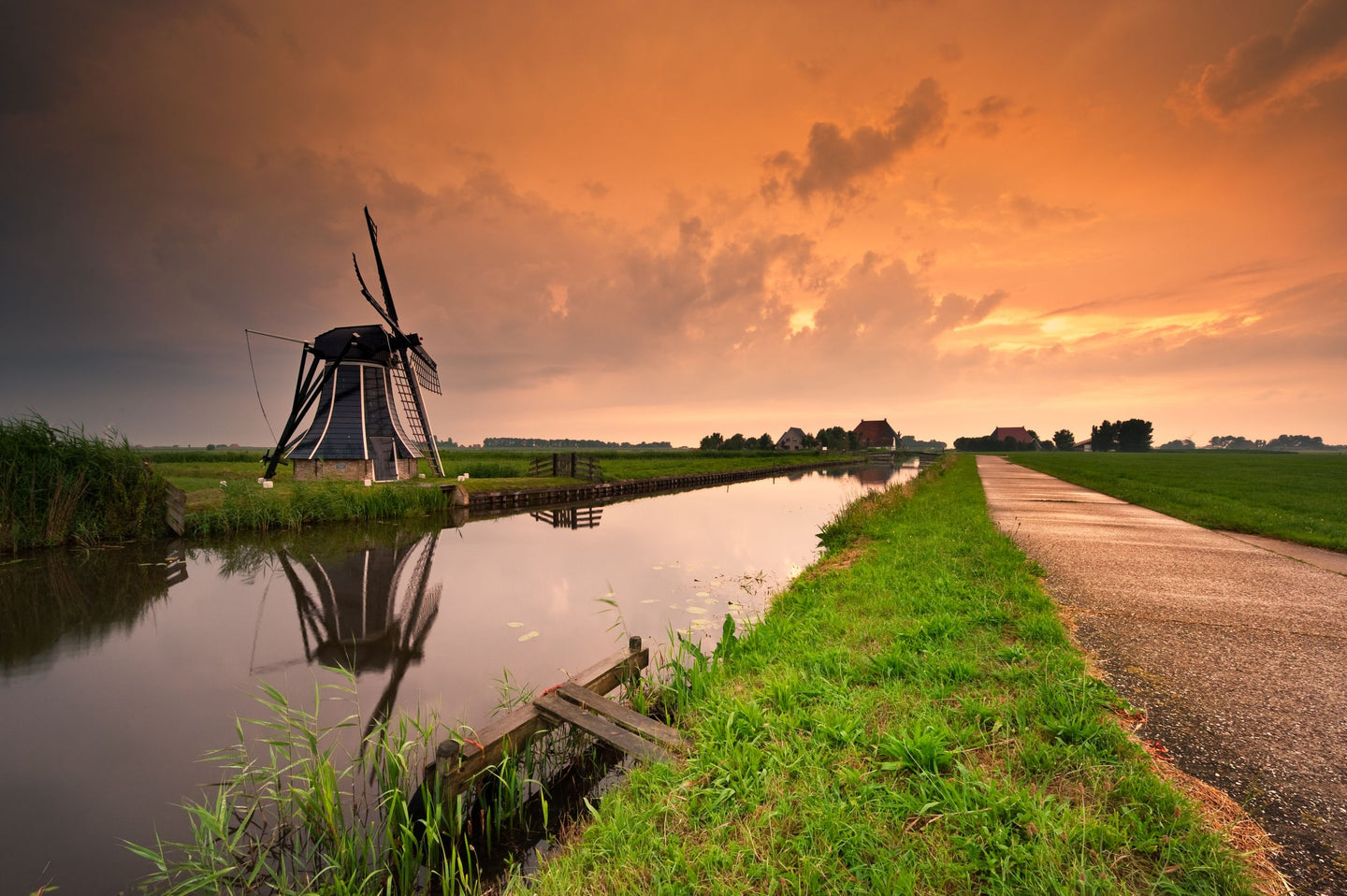 Fietsen door het mooiste van Friesland - afbeelding 3