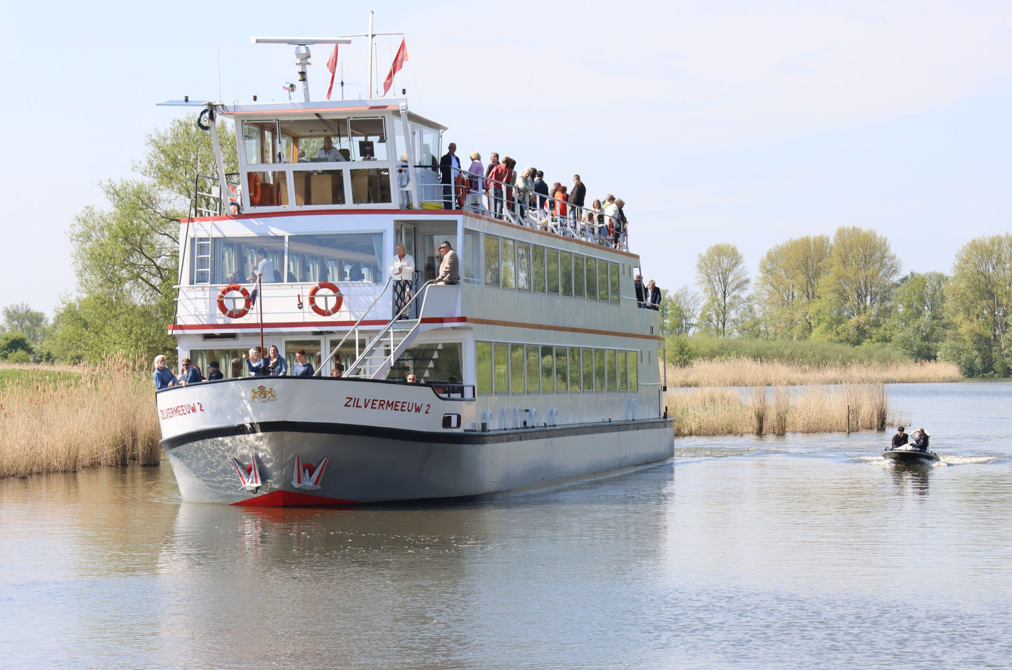 Zilvermeeuw Rondvaart Biesbosch - afbeelding 2