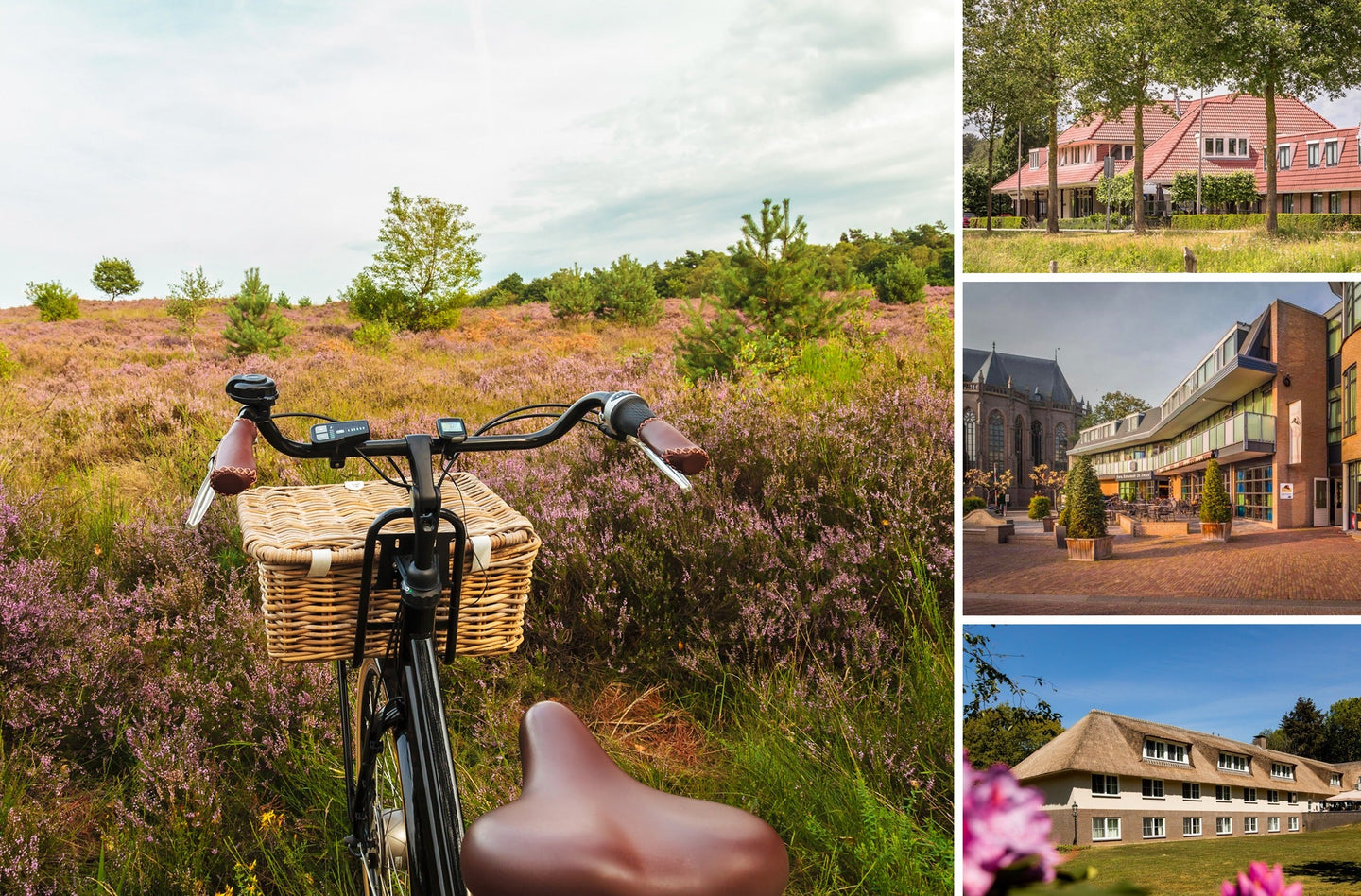 4-Daagse fietsvakantie Twente & Salland: Delden - Raalte - Markelo | incl. dagelijks 3-gangendiner - afbeelding 1