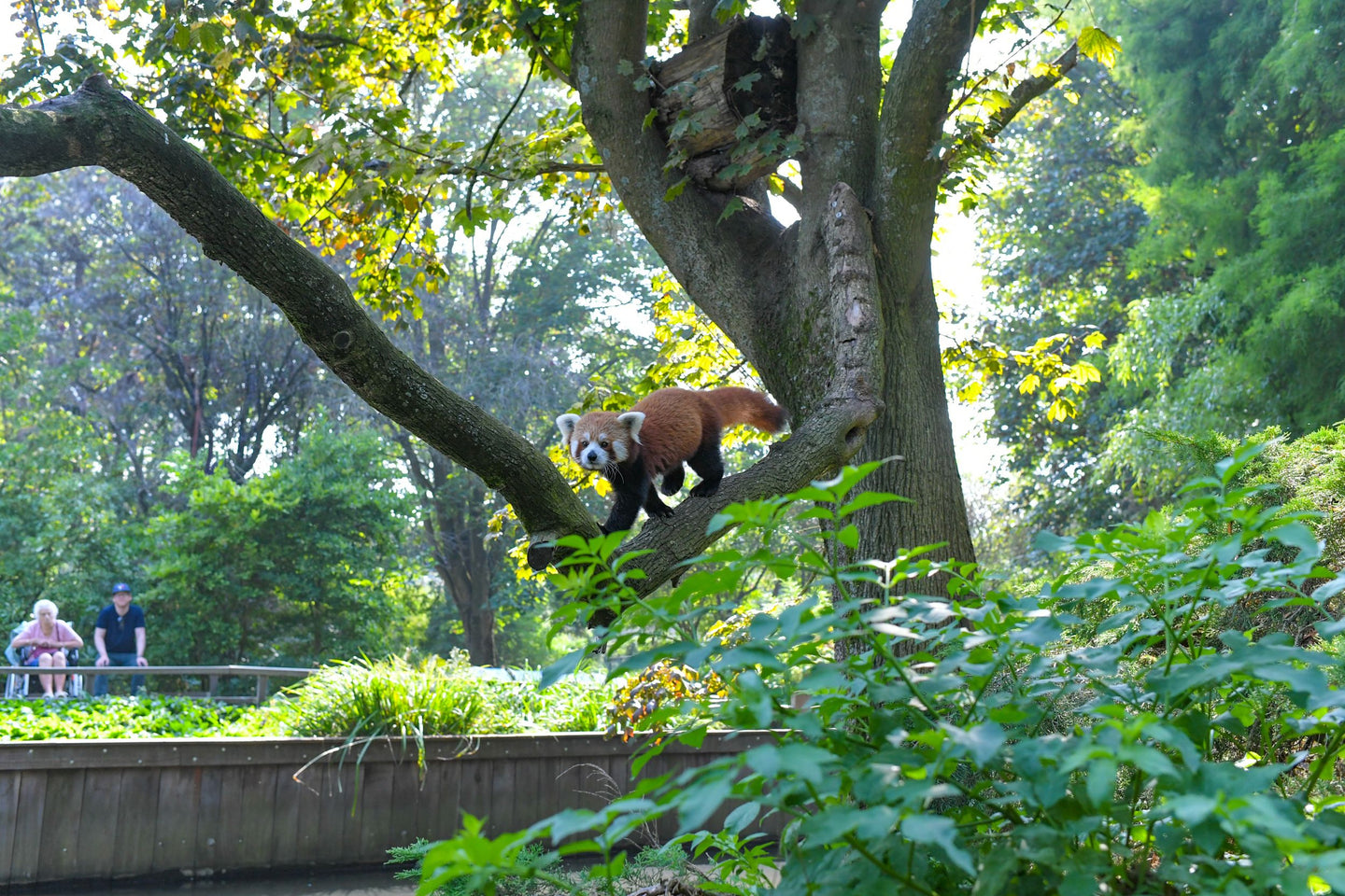 Vogelpark Avifauna - afbeelding 11
