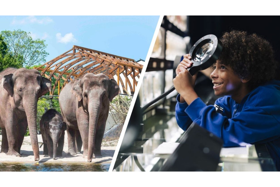 Combiticket ARTIS-Park & ARTIS-Micropia - afbeelding 1