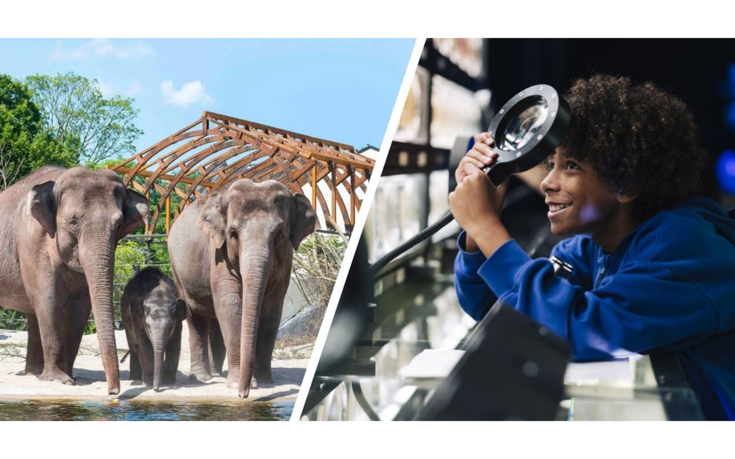 Combiticket ARTIS-Park & ARTIS-Micropia - afbeelding 1