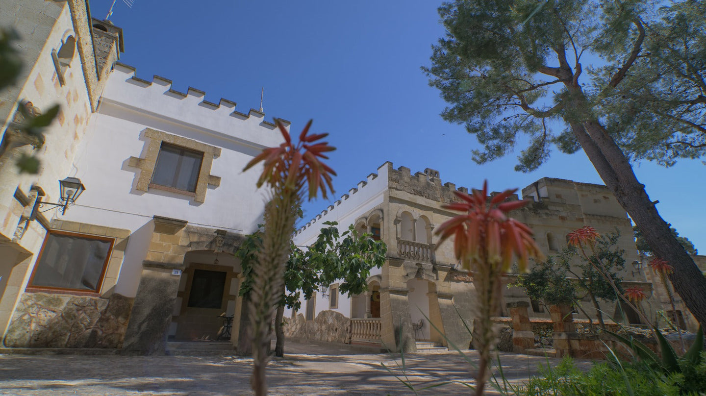Arrangement Welzijn - Tenute Al Bano Wine & Wellness Resort - afbeelding 1