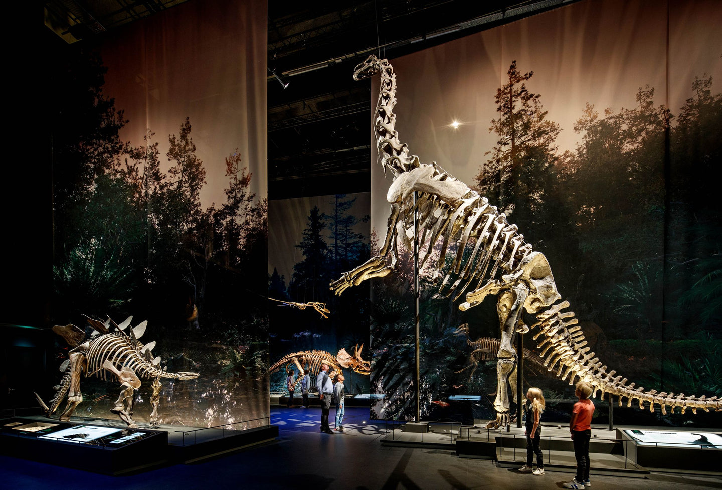 Naturalis + gratis toegang Rexperience - afbeelding 4