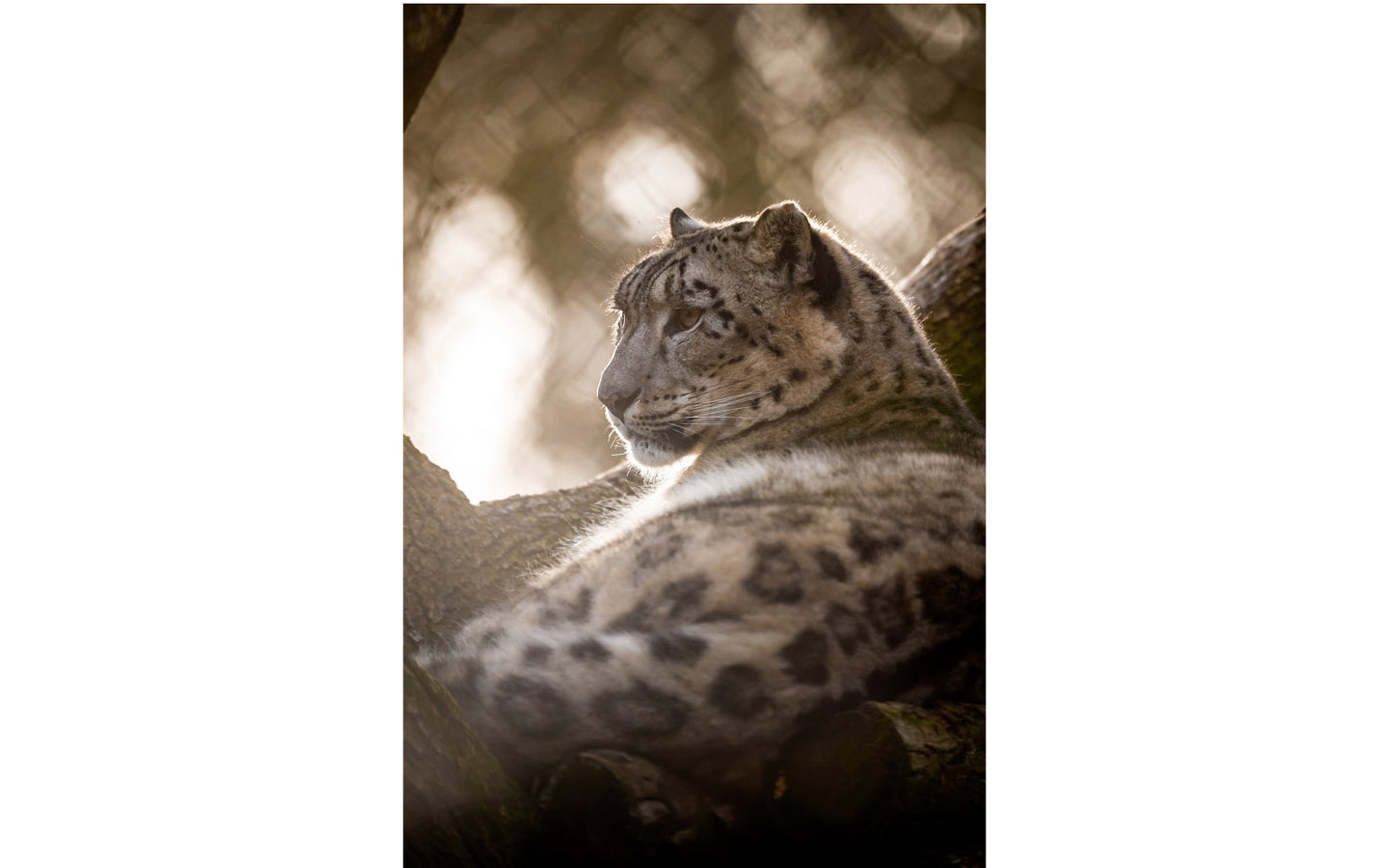 ZOO Planckendael - afbeelding 2