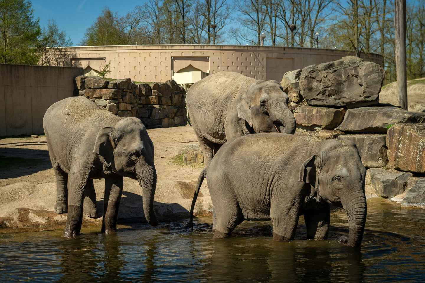 ZOO Planckendael - afbeelding 6
