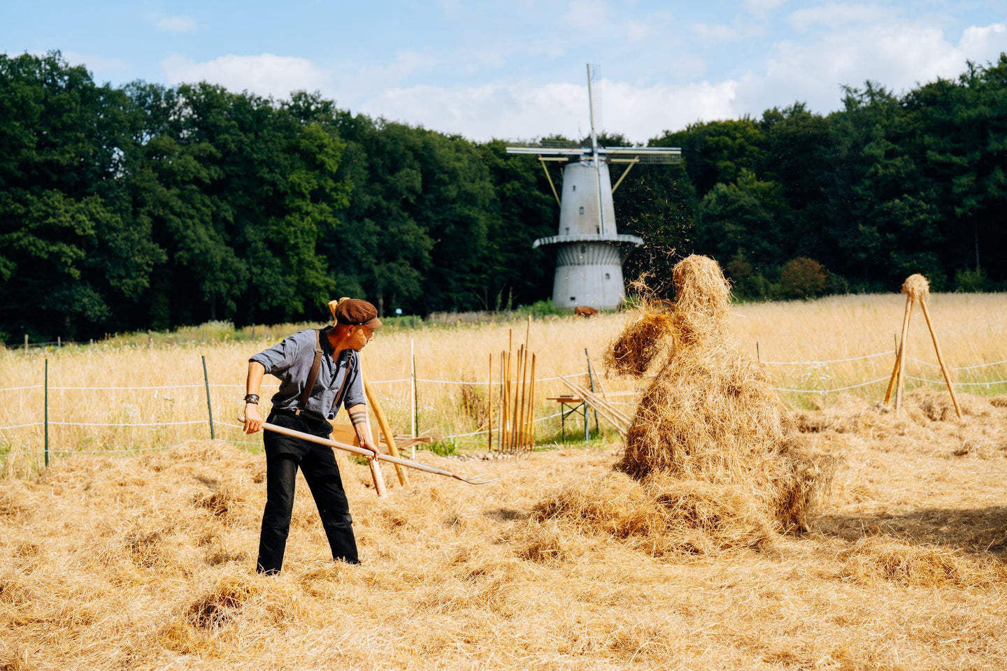 Nederlands Openluchtmuseum - afbeelding 4