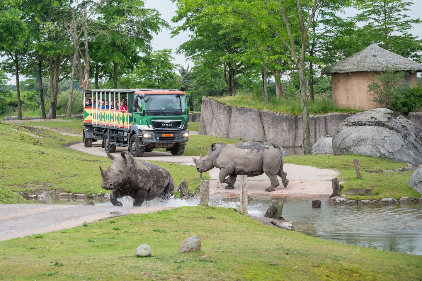 Wildlands Adventure Zoo Emmen - afbeelding 10