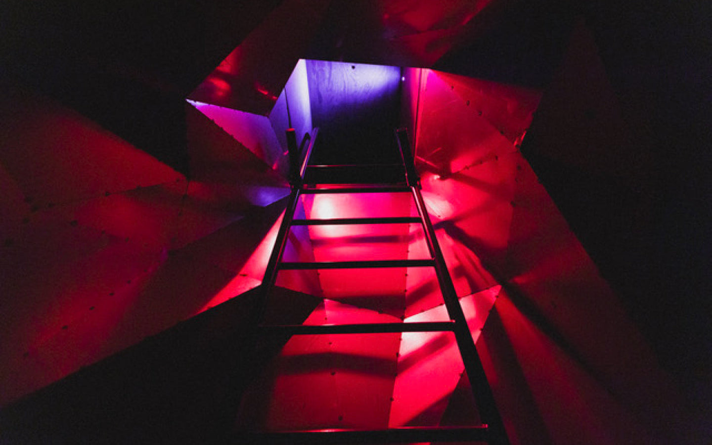 Doloris Anoma Maze Utrecht - afbeelding 2