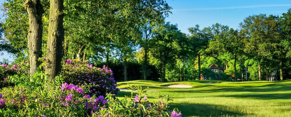 Ontdek Golf - Prise d'Eau Golf Tilburg - afbeelding 2
