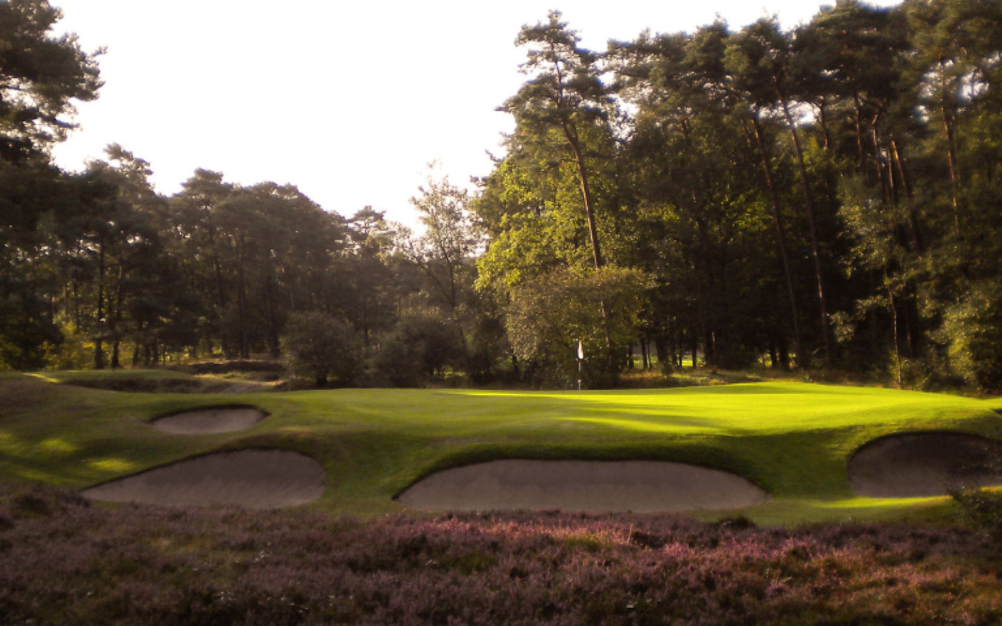 Ontdek Golf - Hooge Graven Golfclub Ommen - afbeelding 2