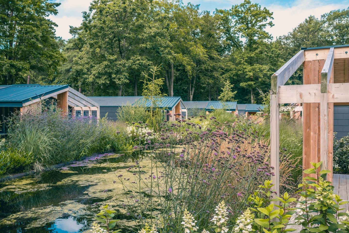 EuroParcs Utrechtse Heuvelrug - afbeelding 7