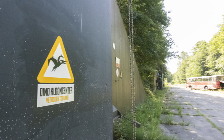 dino-fabriek - afbeelding 10