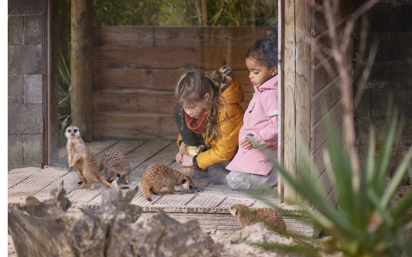 Eindhoven ZOO - afbeelding 2