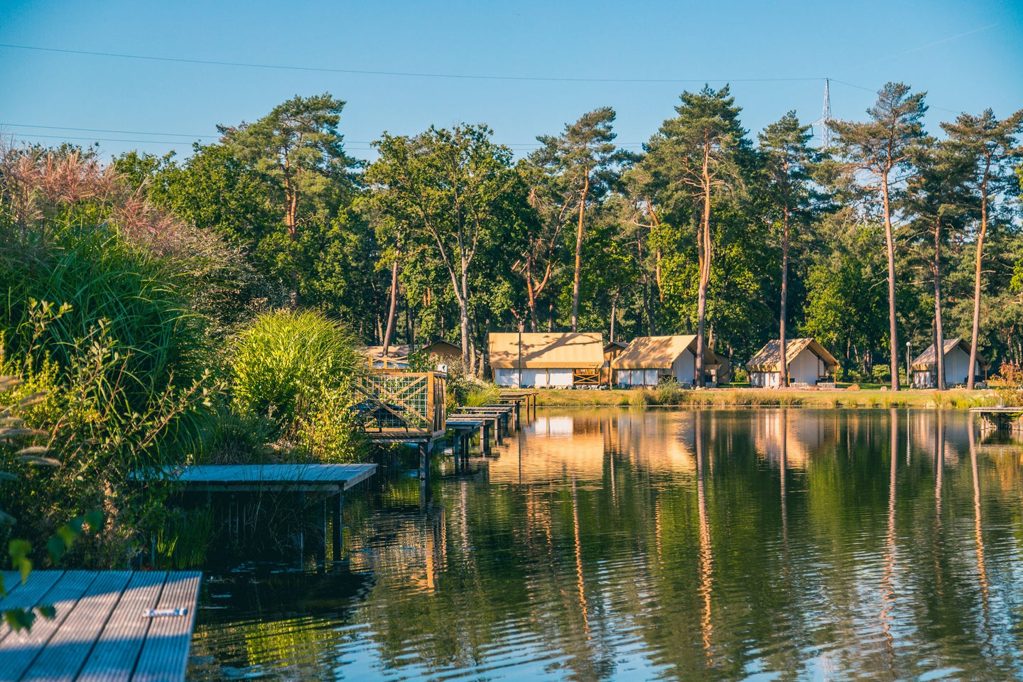 EuroParcs Zilverstrand - afbeelding 9